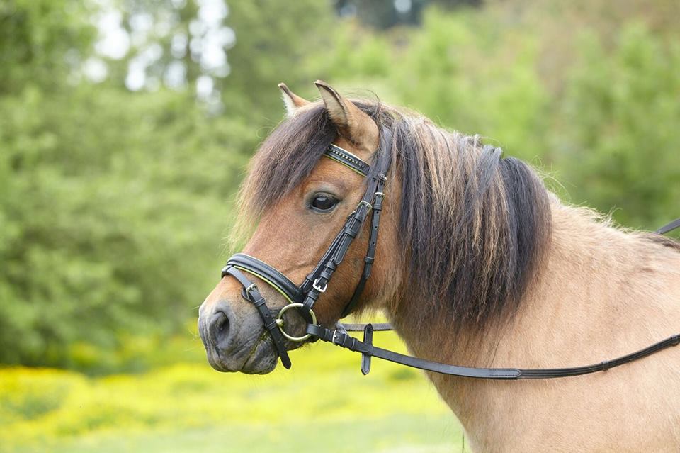 Katalog Shooting 05/2016