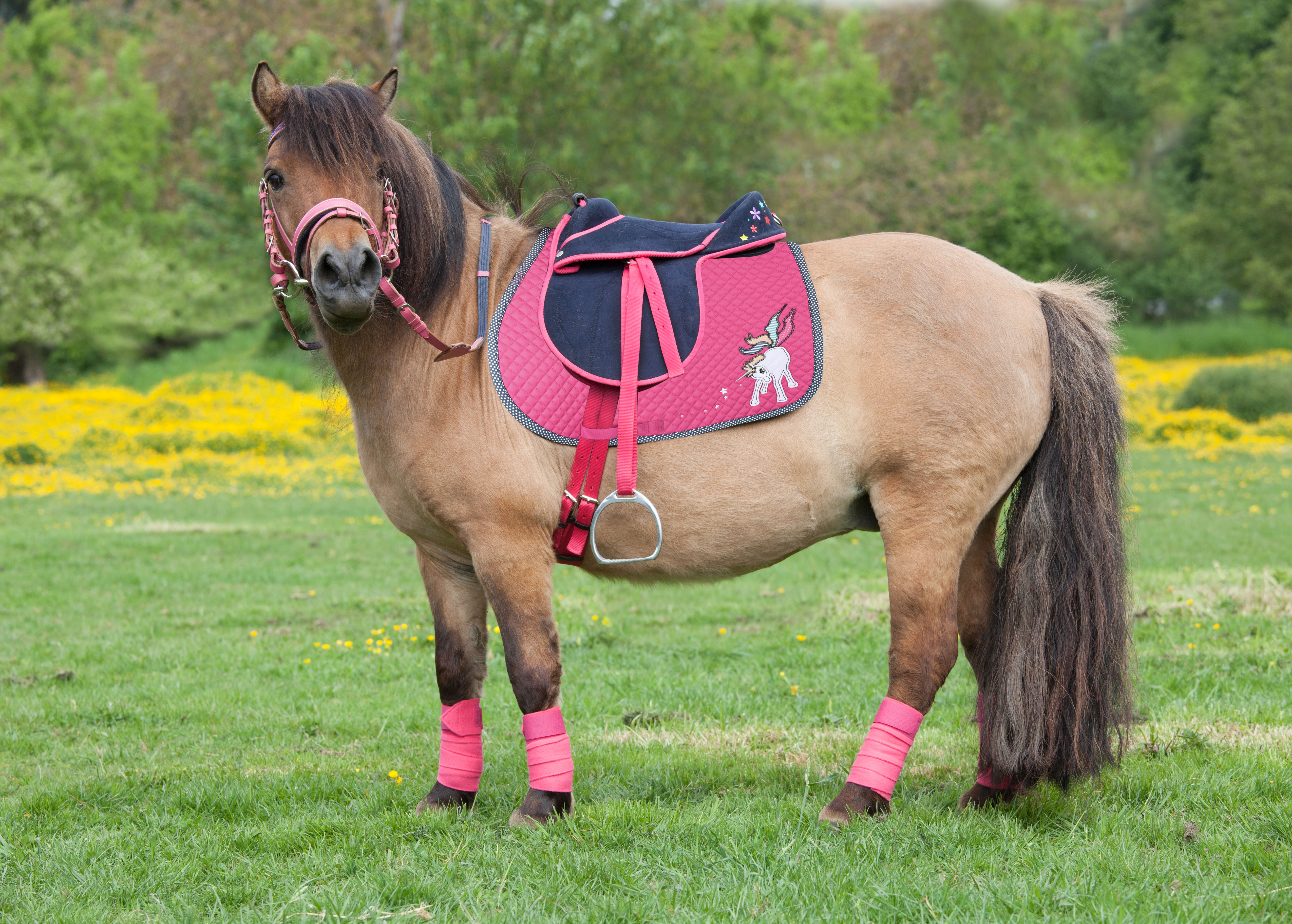 Katalogshooting 05/16